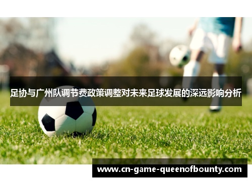 足协与广州队调节费政策调整对未来足球发展的深远影响分析 足协与广州队调节费政策调整对未来足球发展的深远影响分析