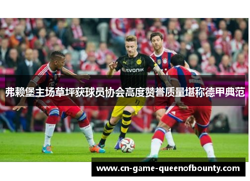 弗赖堡主场草坪获球员协会高度赞誉质量堪称德甲典范