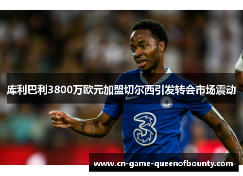 库利巴利3800万欧元加盟切尔西引发转会市场震动